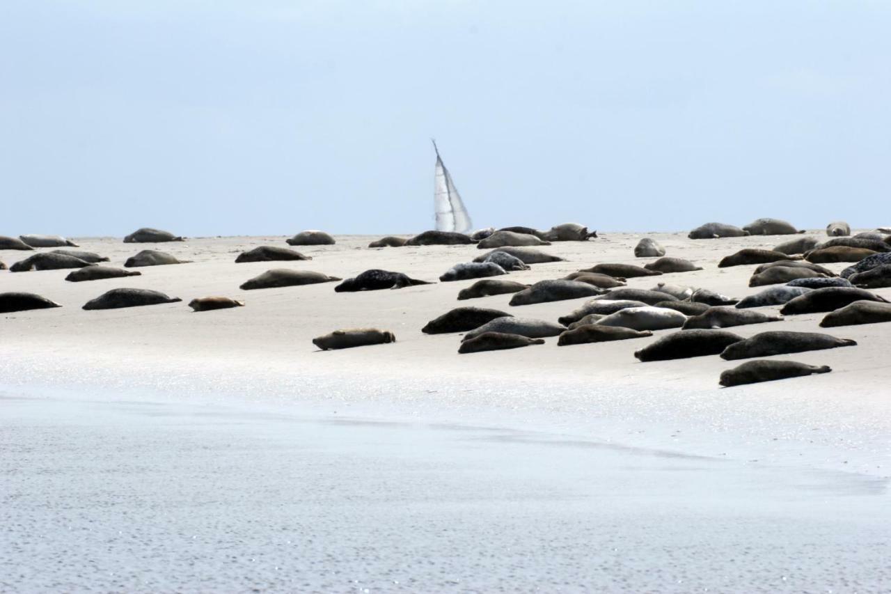 Borkumunterkunft - Woh4 - Im Herzen Der Insel Экстерьер фото